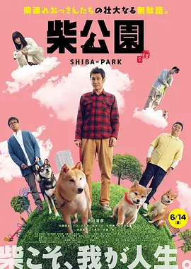 成年人在线视频网站